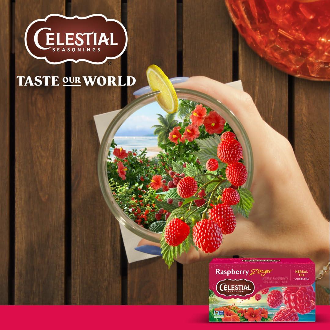 Celestial Seasonings Raspberry Zinger Herbal Tea, Caffeine Free, 20 Tea Bags Box - Image 7
