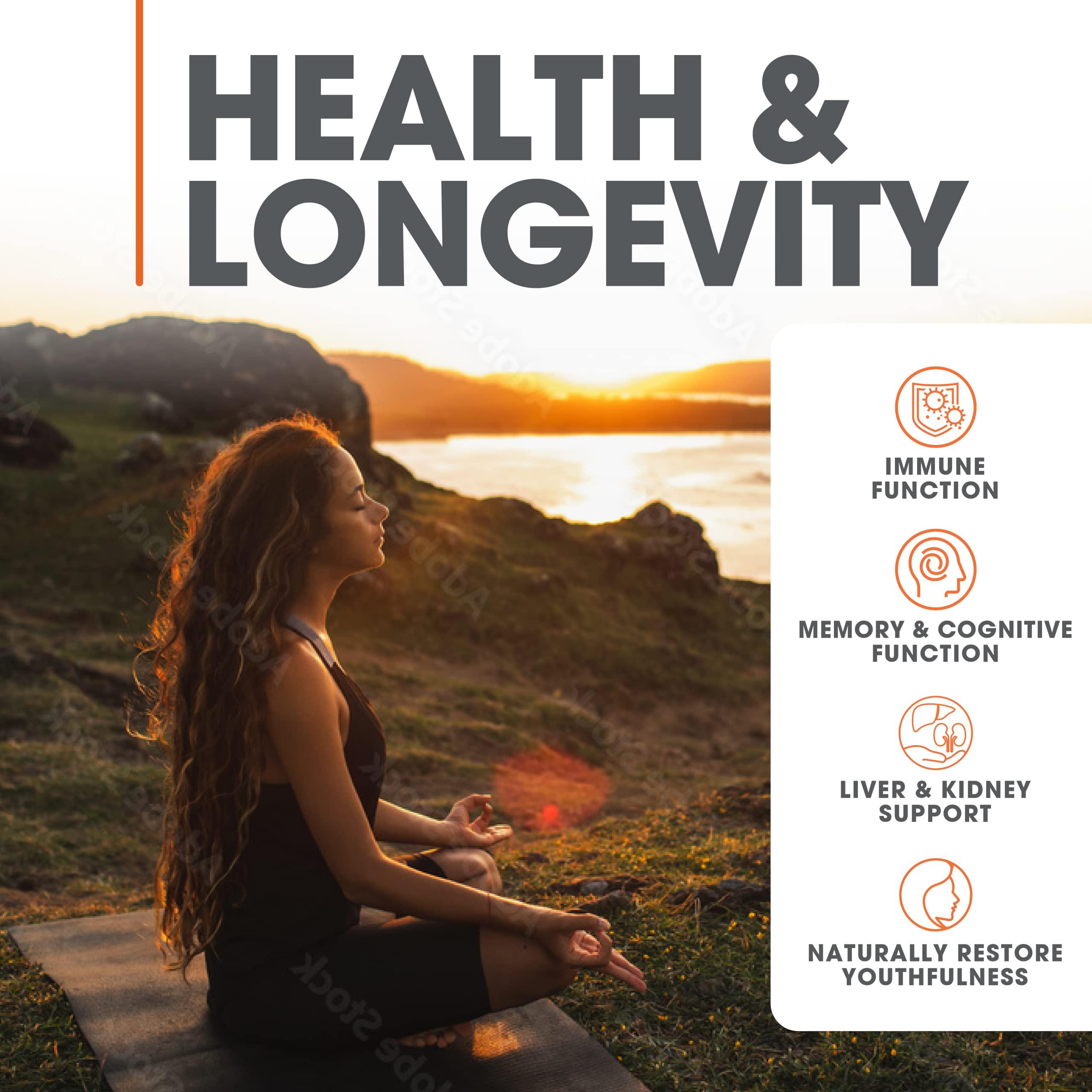 Genius Mushroom Supplement - Full-Spectrum Lion’s Mane, Cordyceps, Reishi -Daily Brain Nootropic for Energy, Focus, Memory & Overall Wellness - 90 Capsules – Organic for Mental Clarity & Performance - Image 3