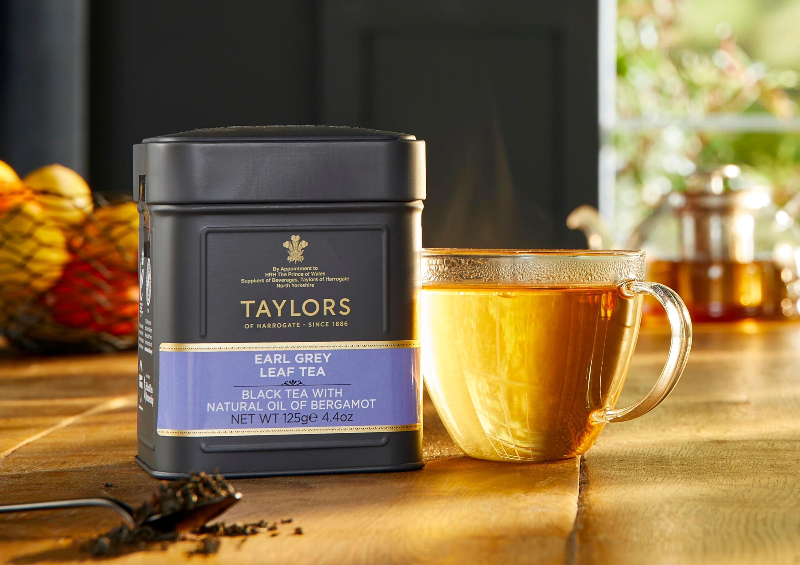 Taylors of Harrogate Earl Grey Loose Leaf, 4.41 Ounce Tin - Image 3