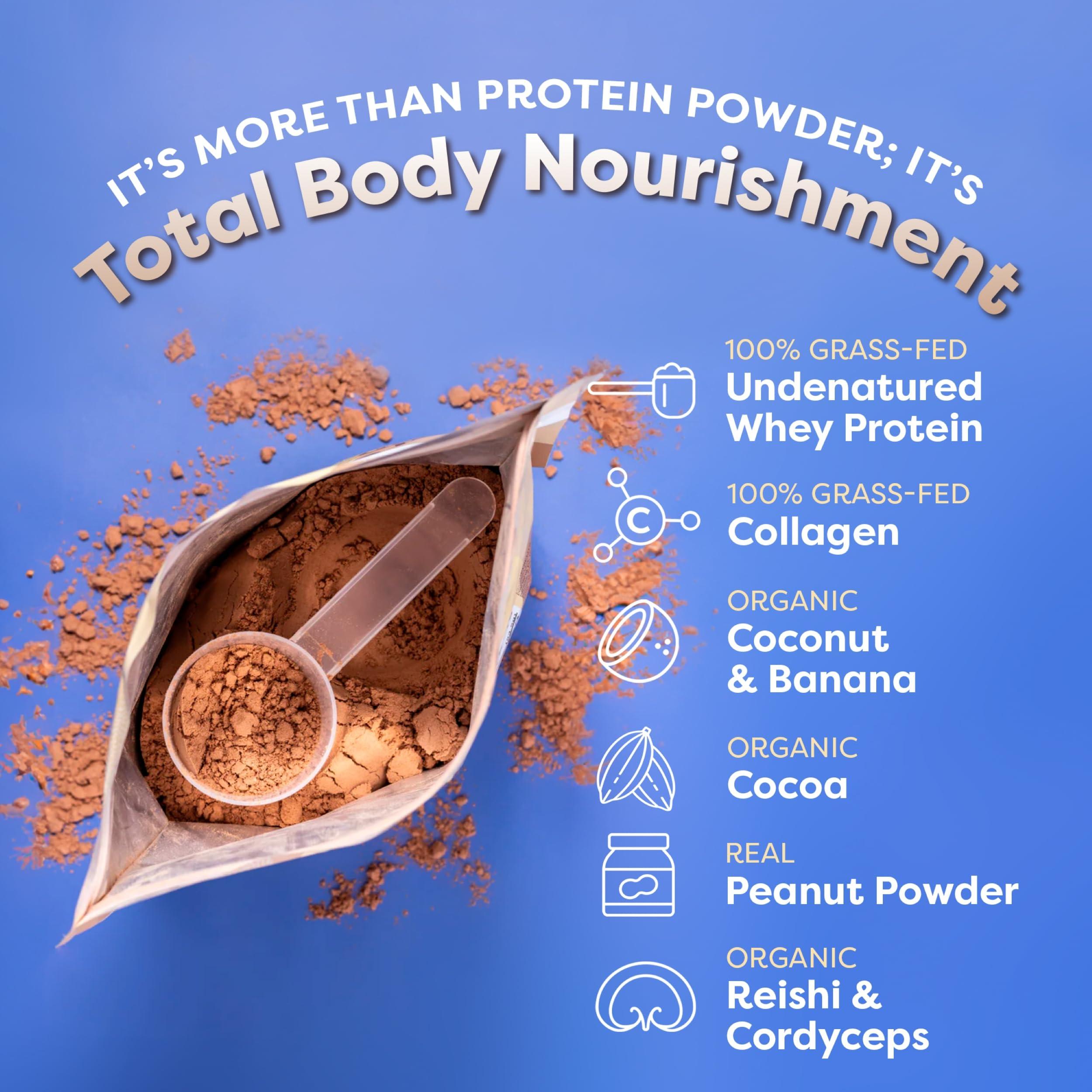 FlavCity Protein Powder Smoothie, Chocolate Peanut Butter - 100% Grass-Fed Whey Protein Smoothie with Collagen (25g of Protein) - Gluten Free & No Added Sugars (37.74 oz) - Image 4