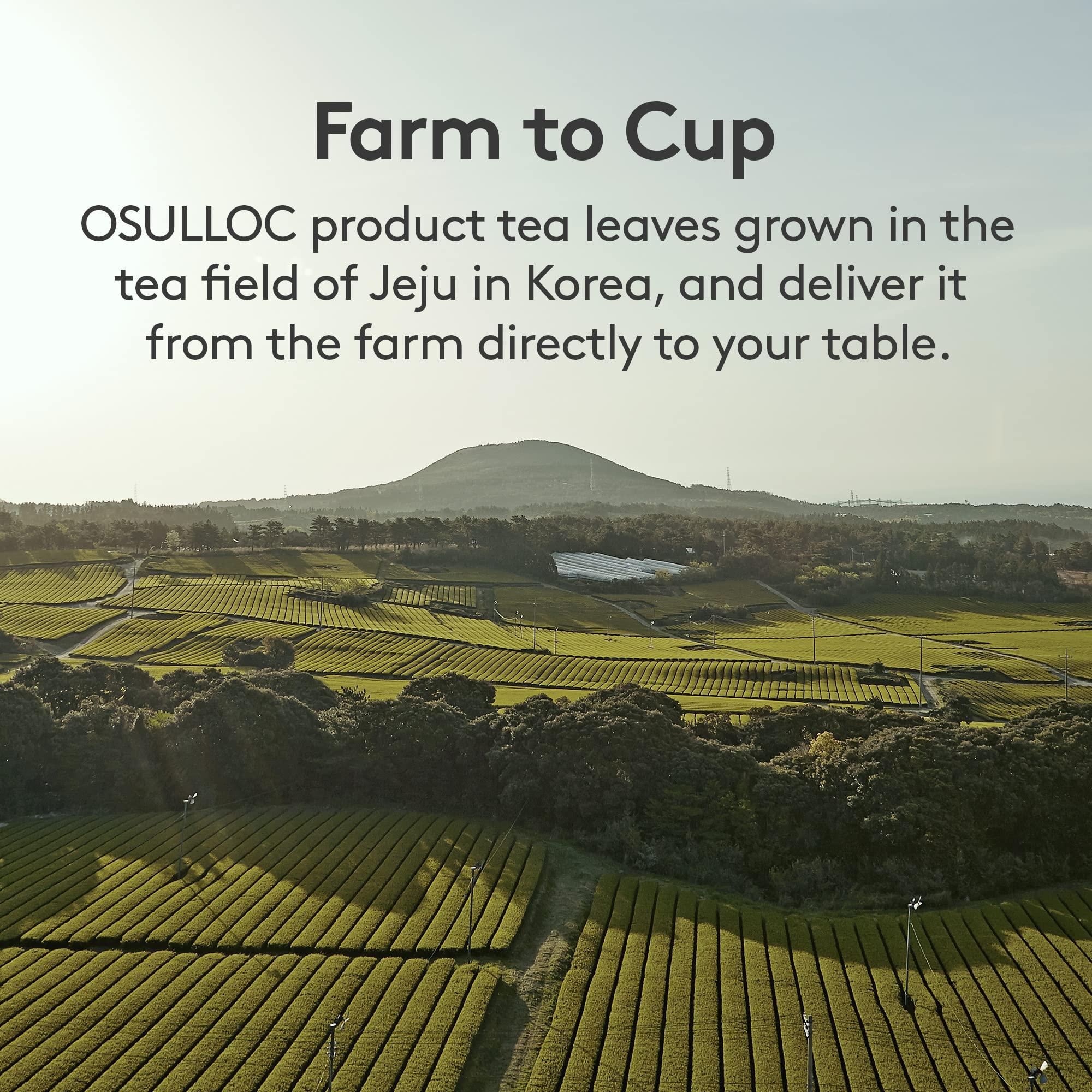 OSULLOC Lovely Tea Gift Box Set (12 count, 4 flavors x 3 EA) | Premium Blended Tea from Jeju | Korean Tea Sampler | Fruit Tea Variety Pack | Pyramid Tea Bag Series - Image 7